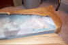 Vr2wt_Big_Pack_2.jpg (60380 bytes)